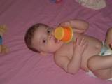 Tasse
