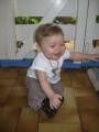 Assise