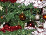 Sapin