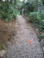 Chemin à suivre