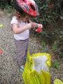 Petit paquet